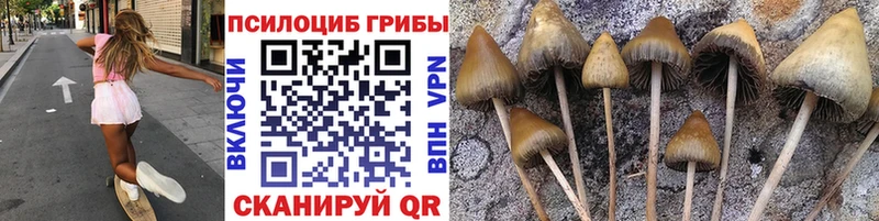 Псилоцибиновые грибы ЛСД  Купить где  Подпорожье 